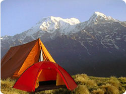 Camping Trek